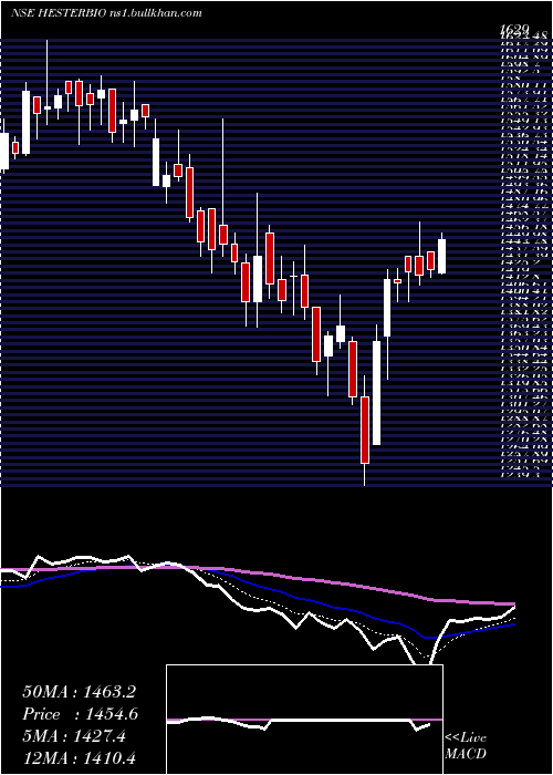  Daily chart HesterBiosciences