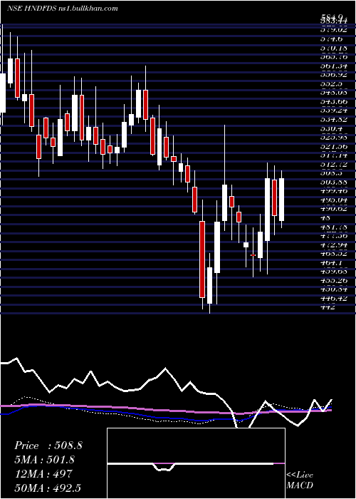 weekly chart HindustanFoods