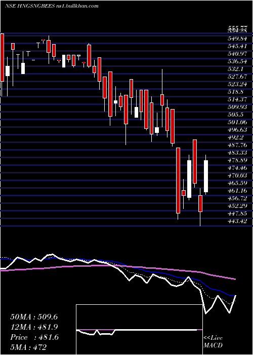  Daily chart GoldmanSachs