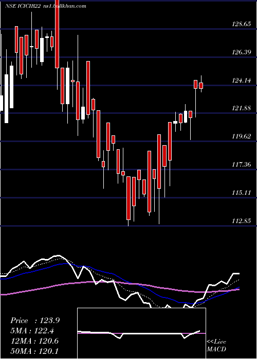  Daily chart IcicipramcBharatiwin