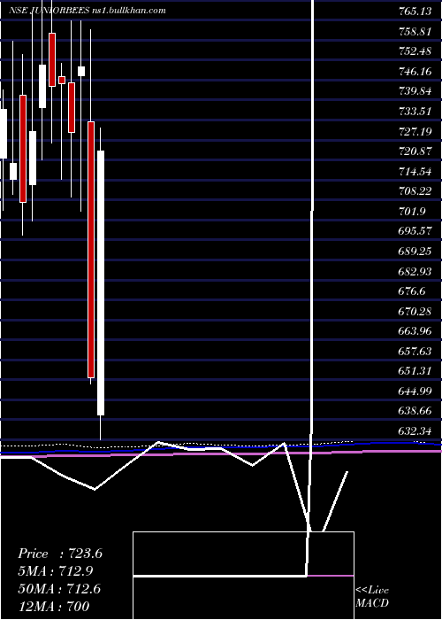  monthly chart NiftyJr