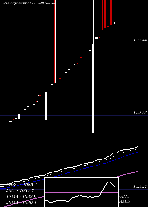  Daily chart NipponamcLiqgrwbees