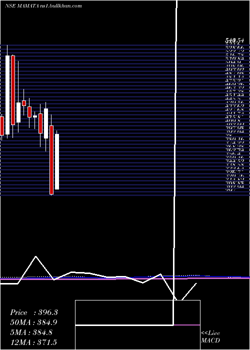  monthly chart MamataMachinery
