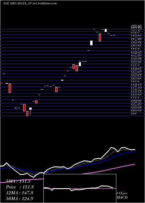  Daily chart MegaFlex