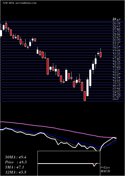  Daily chart MeghmaniOrganics
