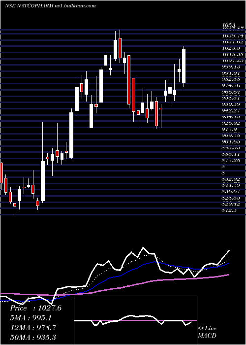  Daily chart NatcoPharma