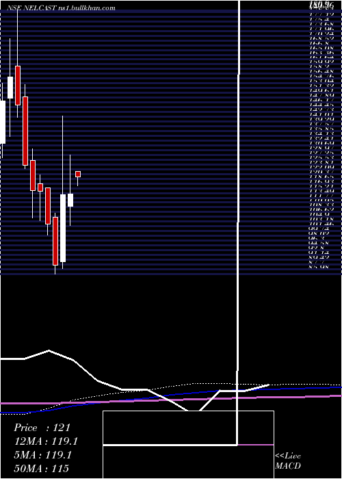  monthly chart Nelcast