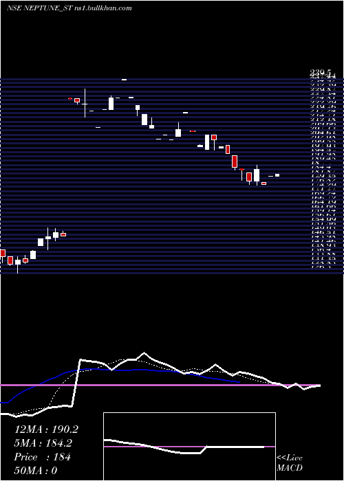  Daily chart NeptunePetrochemicals
