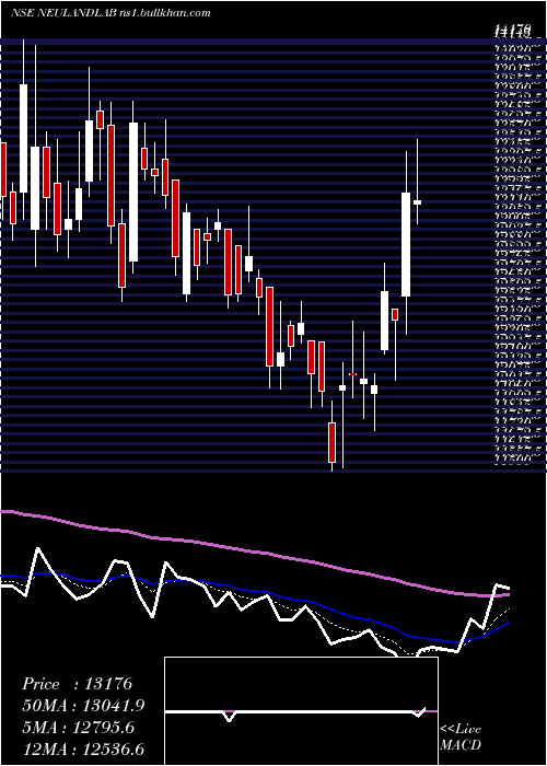  Daily chart NeulandLaboratories
