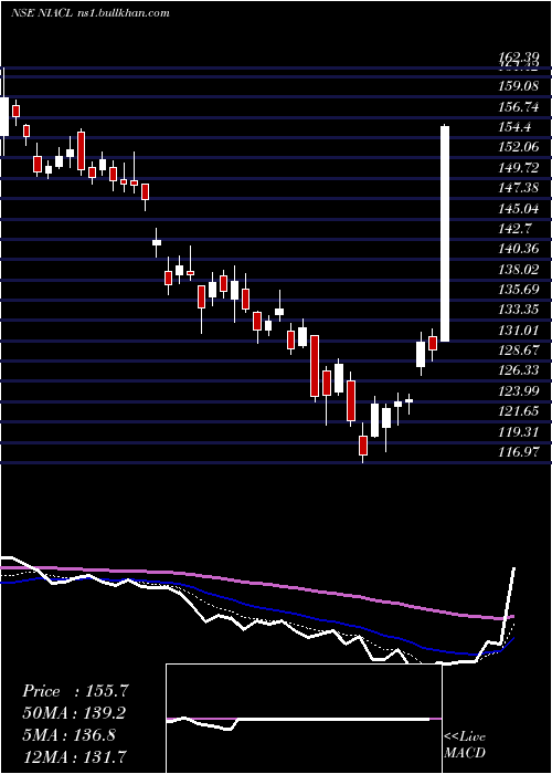  Daily chart NewIndia
