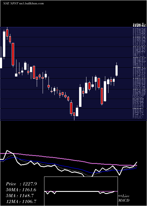  Daily chart NetworkPeople