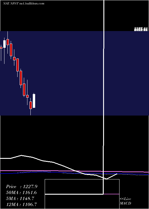  monthly chart NetworkPeople
