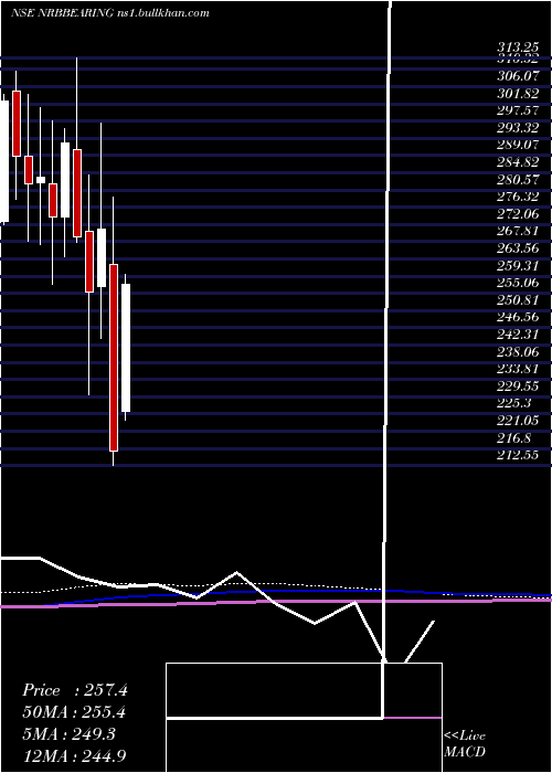  monthly chart NrbBearing