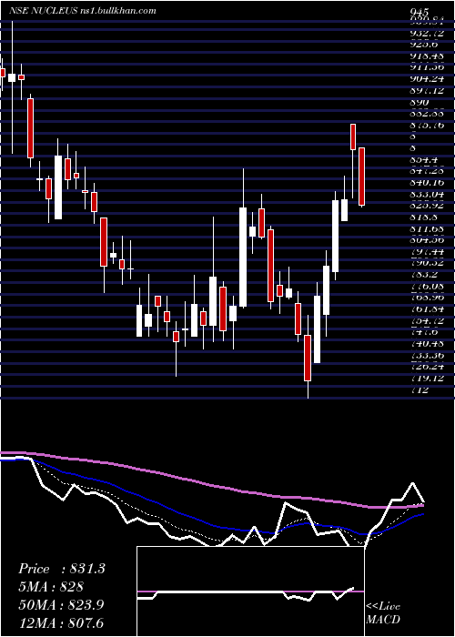  Daily chart NucleusSoftware
