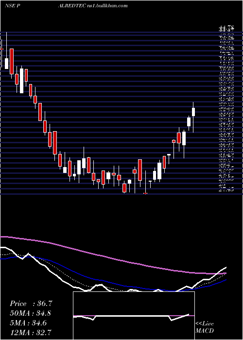  Daily chart PalredTechnolog