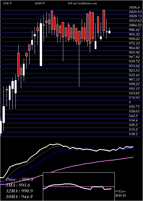  Daily chart PashupatiCotspin