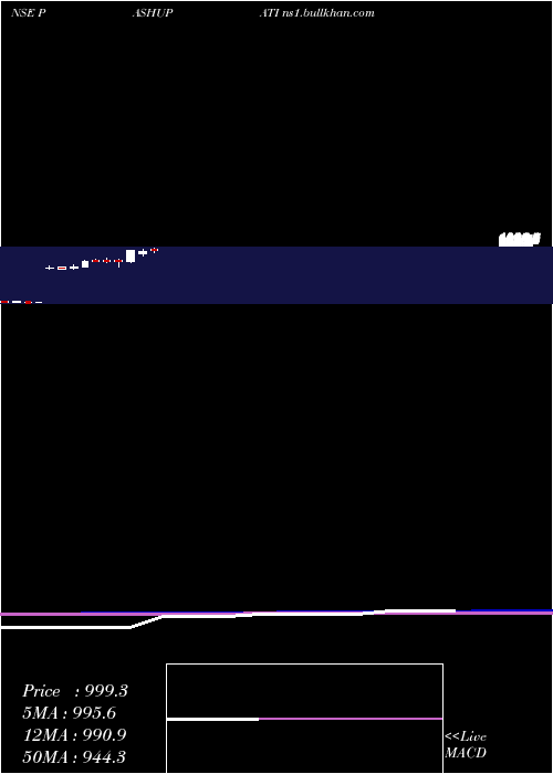  monthly chart PashupatiCotspin