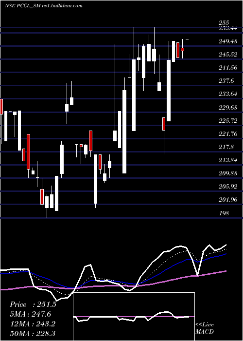  Daily chart PetroCarbon