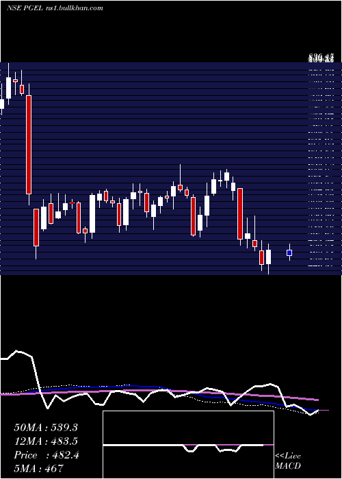  weekly chart PgElectroplast