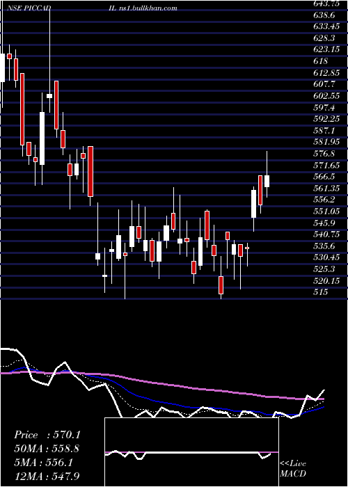  Daily chart PiccadilyAgro