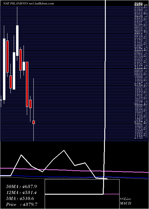  monthly chart PilaniInv
