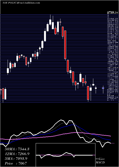  Daily chart PolycabIndia