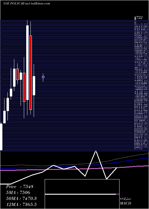  monthly chart PolycabIndia