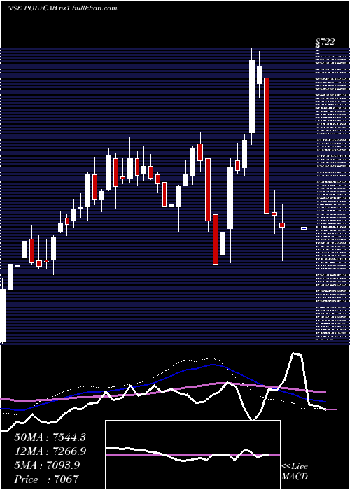  weekly chart PolycabIndia