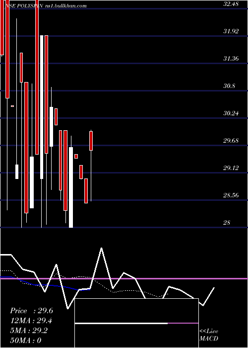  Daily chart PolyspinExports
