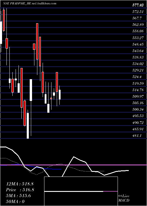  Daily chart PradeepMetals