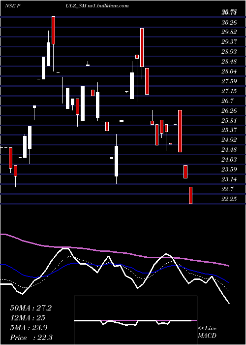  Daily chart PulzElectronics