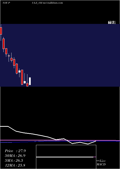  monthly chart PulzElectronics