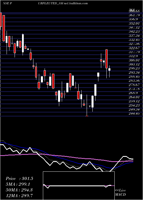  Daily chart PurpleUnited