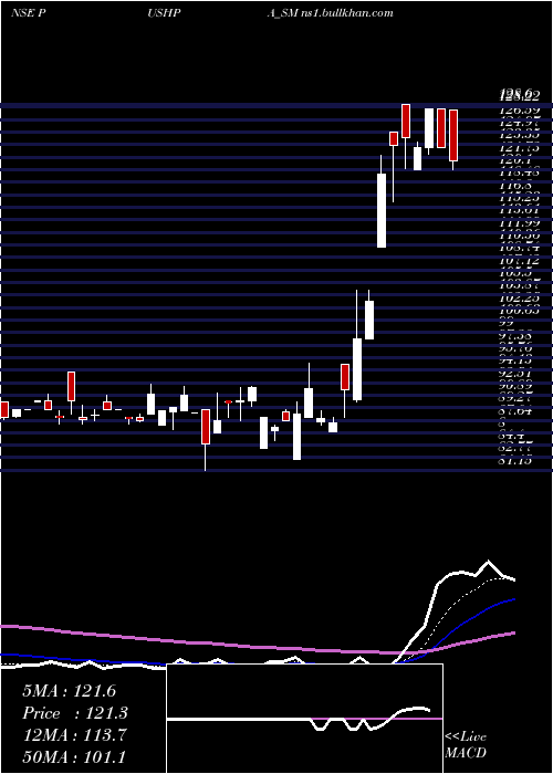  Daily chart PushpaJewellers
