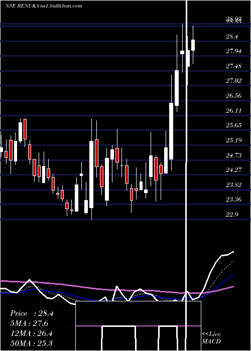  Daily chart ShreeRenuka