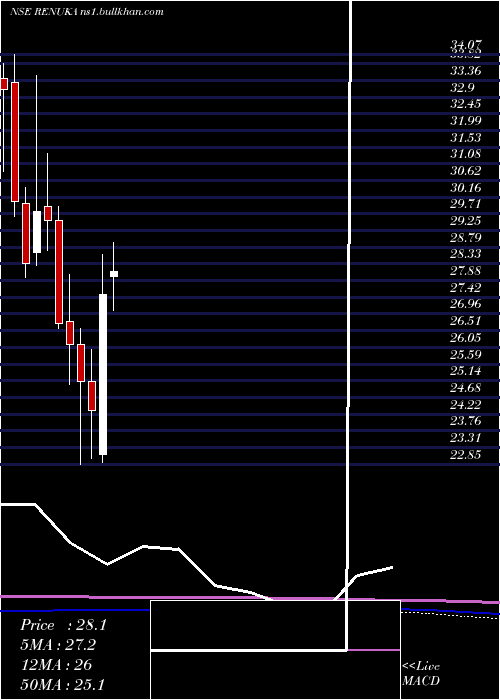  monthly chart ShreeRenuka