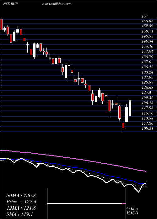  Daily chart RupaCompany