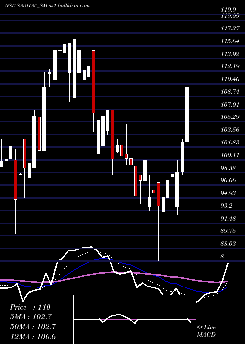  Daily chart SadhavShipping