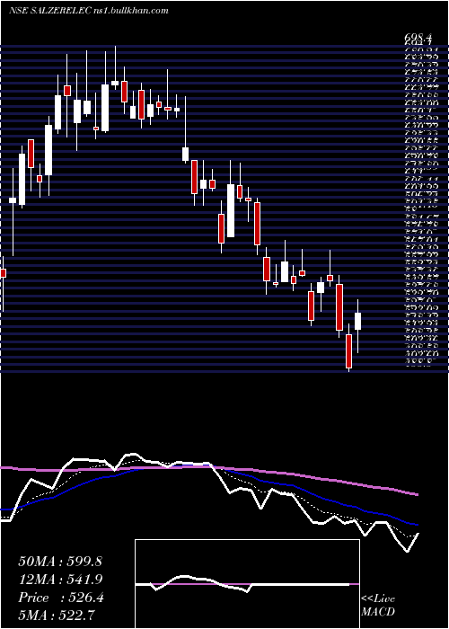  Daily chart SalzerElectronics