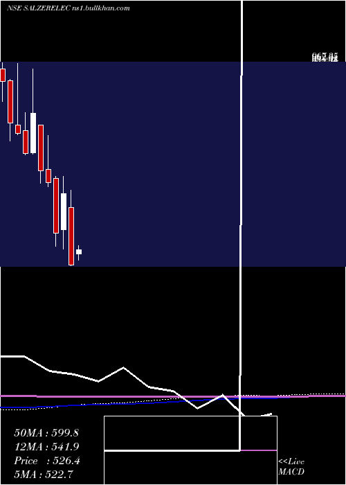  monthly chart SalzerElectronics
