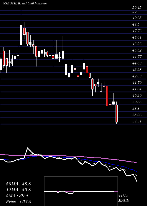  Daily chart ShippingCorp
