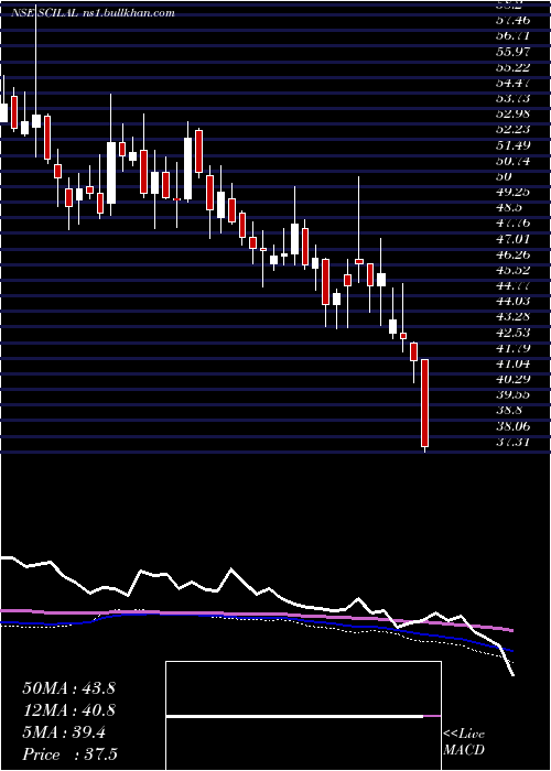  weekly chart ShippingCorp