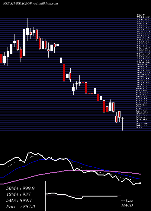  Daily chart ShardaCropchem