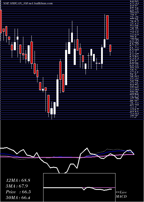  weekly chart ShiganQuantum
