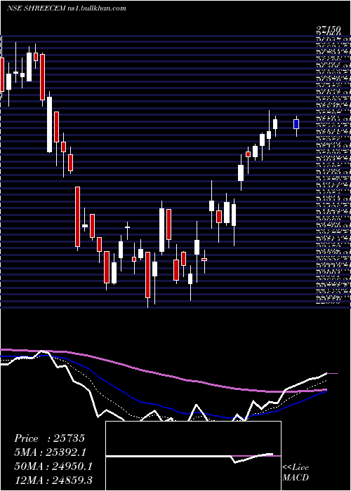  Daily chart ShreeCements