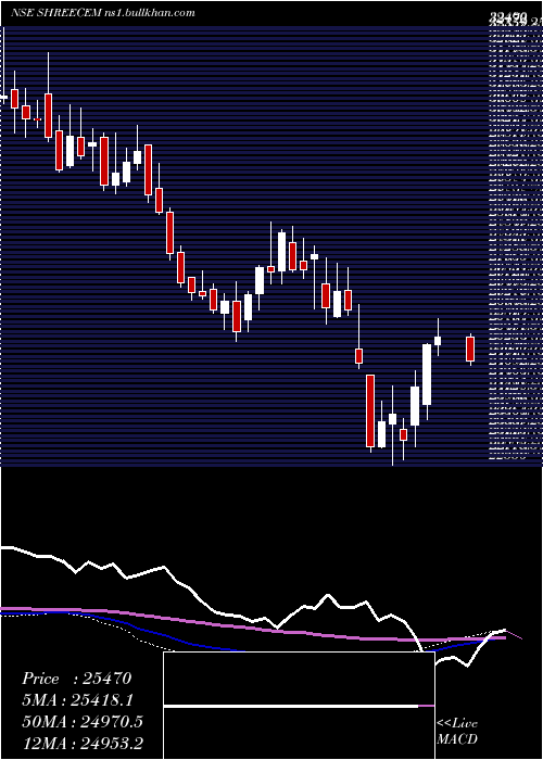  weekly chart ShreeCements