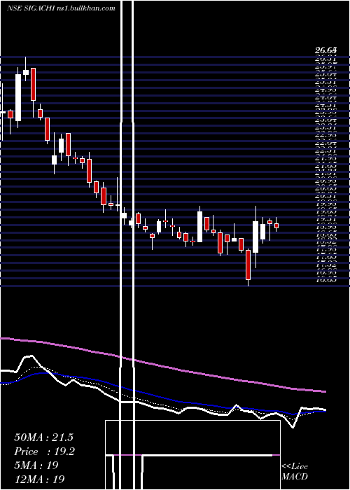  Daily chart SigachiIndustries