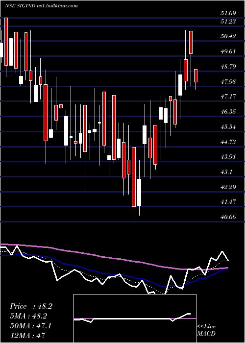 Daily chart SignetIndustries