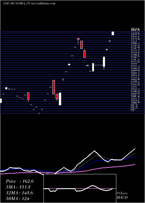  Daily chart SignoriaCreation