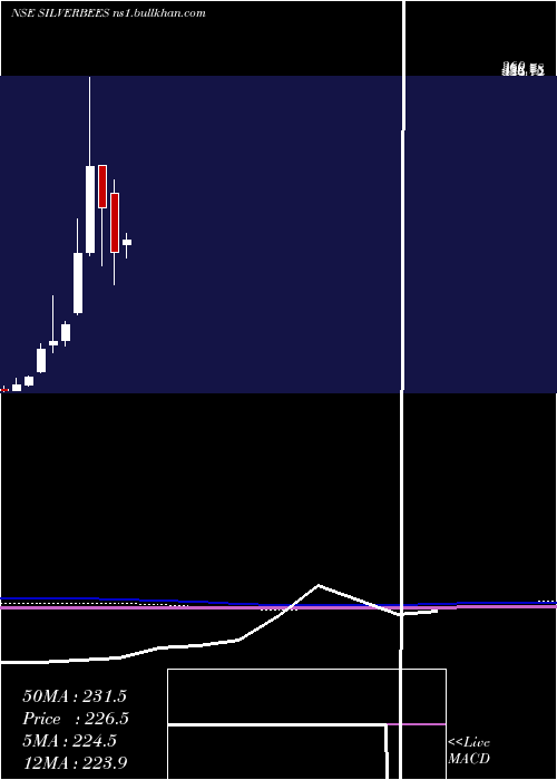  monthly chart NipponamcNetfsilver